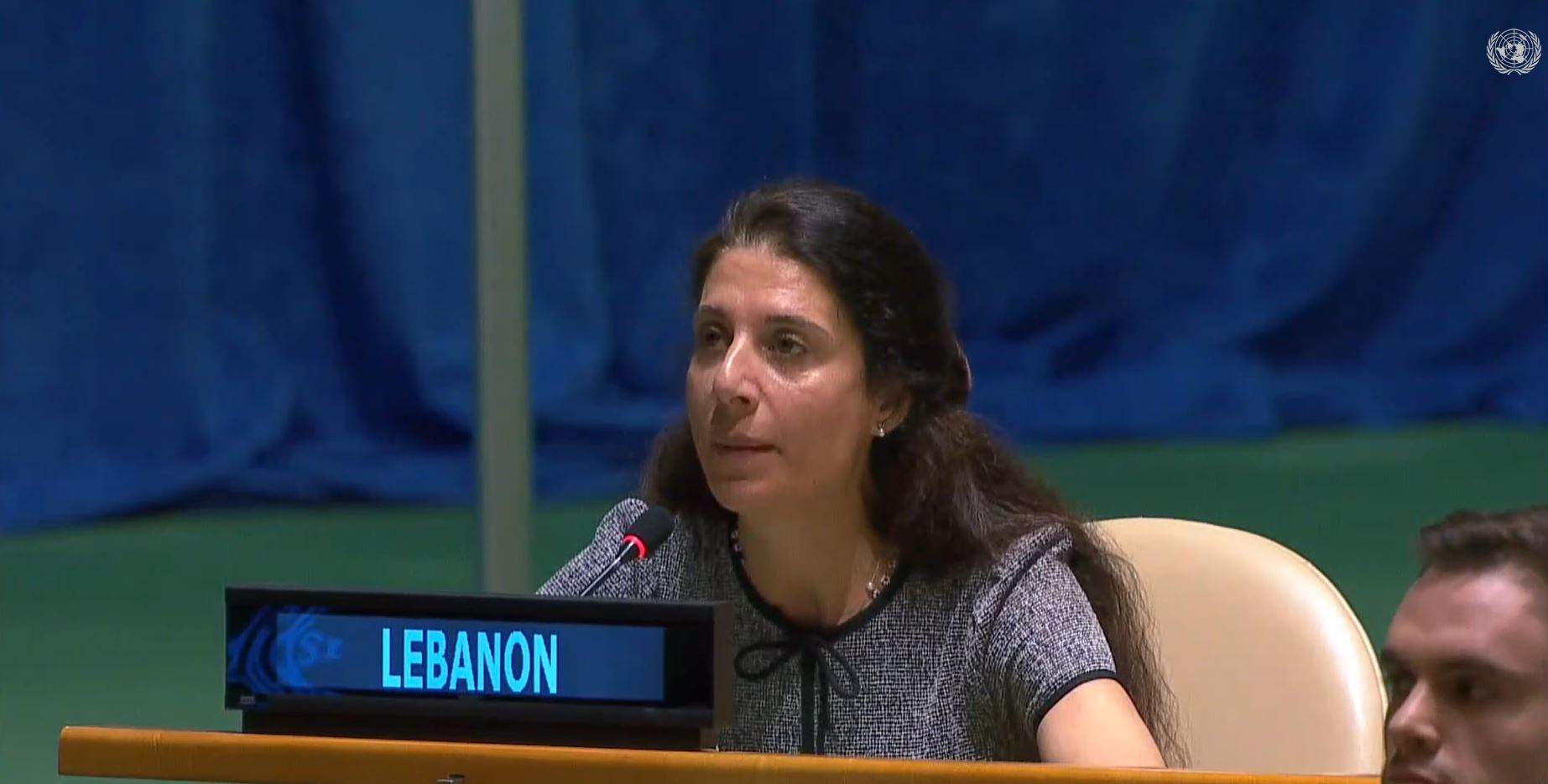 مندوبة لبنان الدائمة بالوكالة في الأمم المتحدة خلال التصويت على مشروع قرار المفقودين في سوريا: لا يمكن مقاربة الملف بمعزل عن ملف اللاجئين
