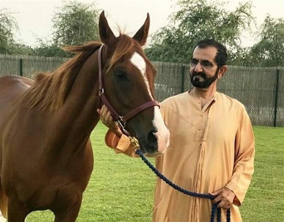 محمد بن راشد آل مكتوم يهدي طفلة عراقية مجموعة خيول بعد بكائها بحرقة على نفوق حصانها