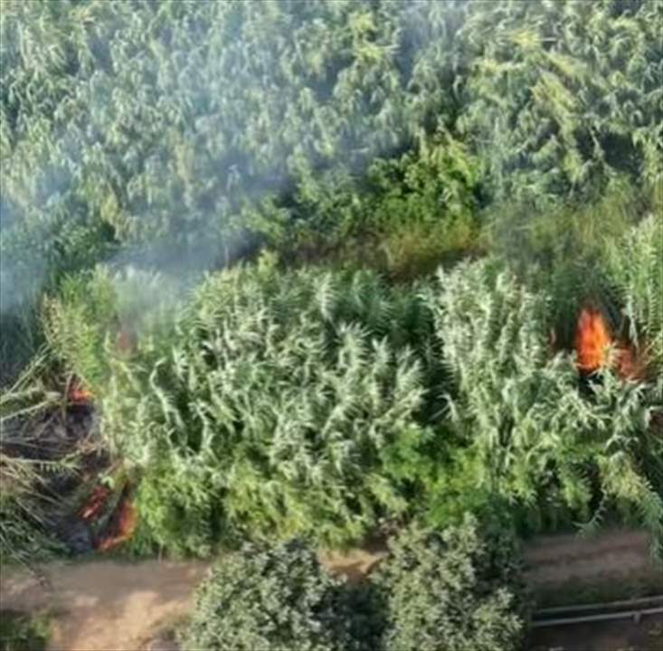 بالفيديو - ضبط شخص بالجرم المشهود يشعل النيران في غابات بايطاليا