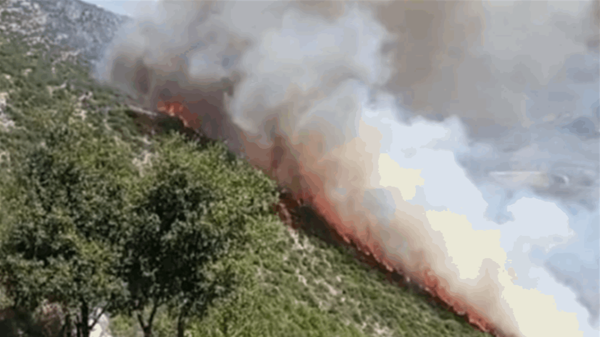 الوكالة الوطنية : اندلاع حريق كبير في خراج احراج منطقة بسري في اقليم الخروب