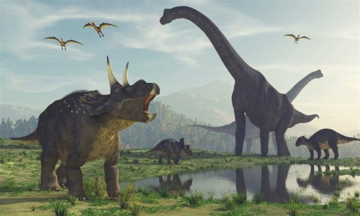 في المغرب..  اكتشاف مواقع جديدة لآثار ديناصورات تعود إلى العصر الجوراسي 