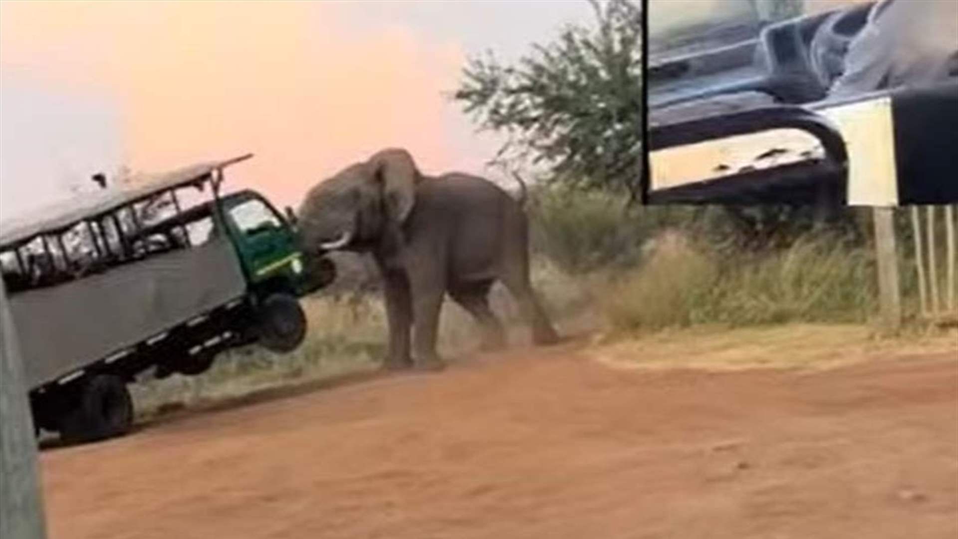 بالفيديو - فيل يرفع حافلة سياح عالياً.. وسائقها يرجوه لتركها