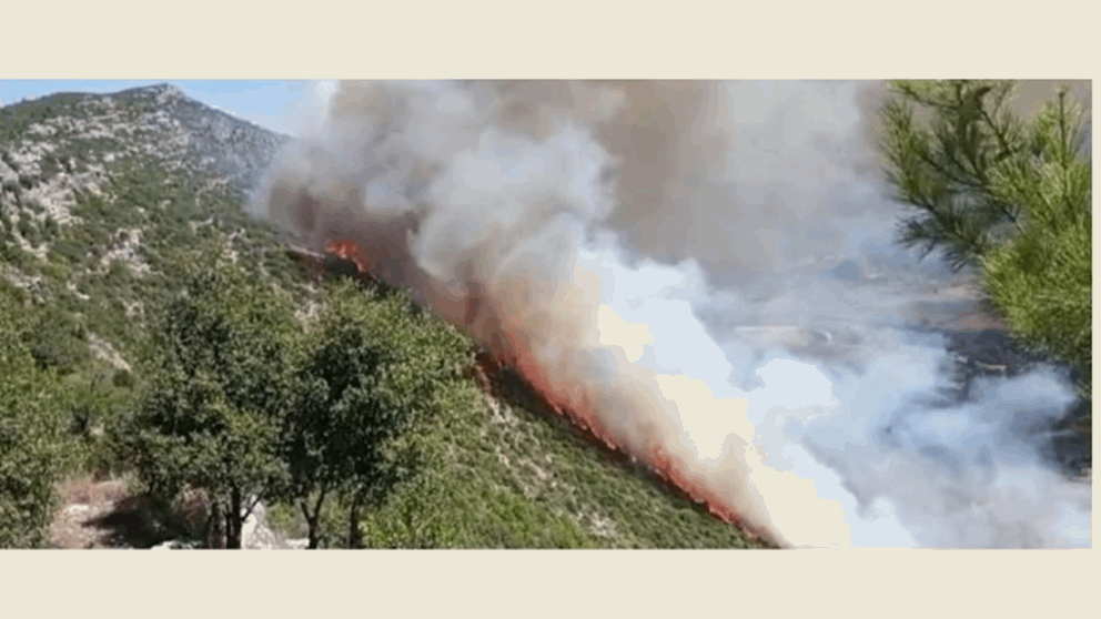 الوكالة الوطنية : اندلاع حريق كبير في خراج احراج منطقة بسري في اقليم الخروب