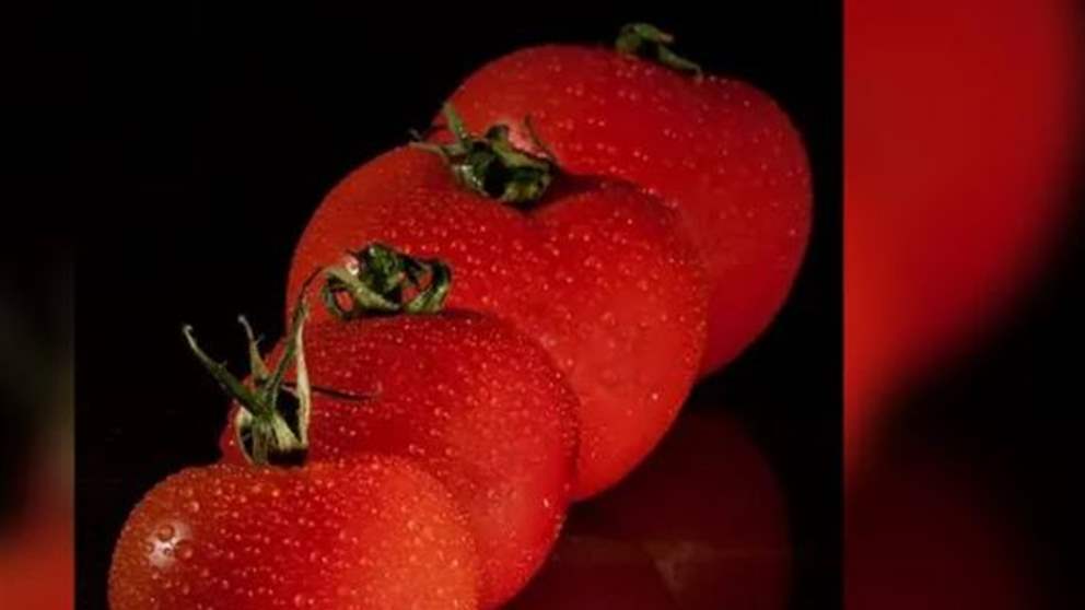 "سر" في الطماطم .. يقلل خطر الاصابة من مرض شائع 