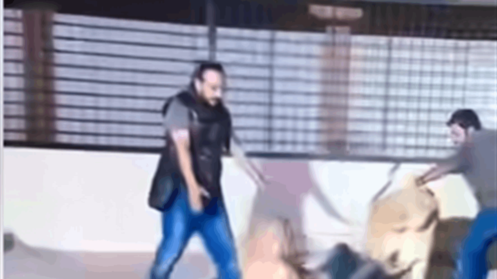 بالفيديو – اسد يهاجم فنانة لبنانية شهيرة 