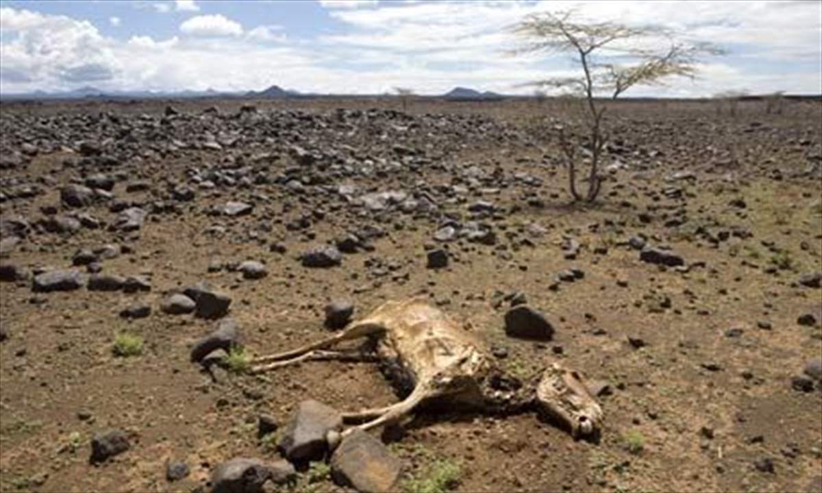 50 عاماً تفصل الكرة الأرضية عن الإنقراض الجماعي السادس في تاريخها...  حيوانات وثديات لن ترونها مجدداً! 