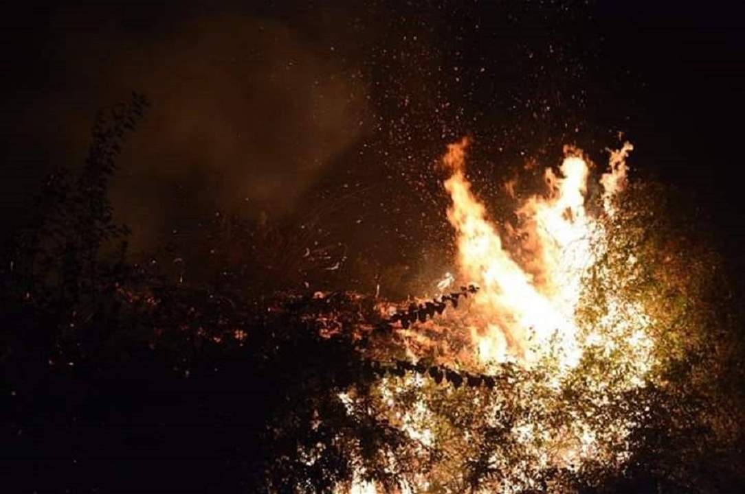 النيران تلتهم ريف اللاذقية بسبب الفحم والآثار!