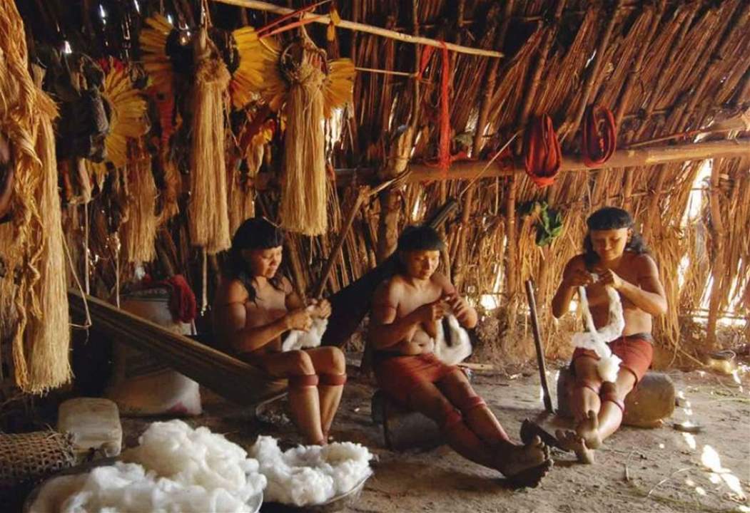 100 قبيلة تعيش بعزلة تامة عن العالم في غابات الأمازون