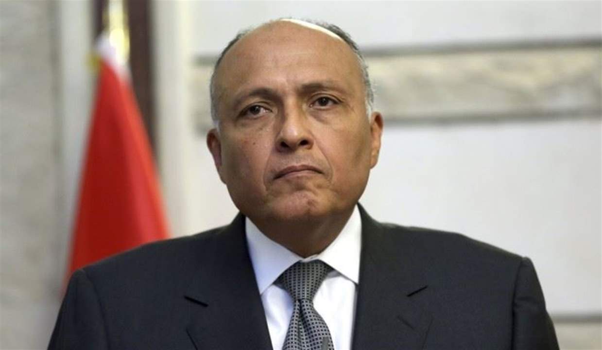 وزير الخارجية المصري وصل الى بيروت