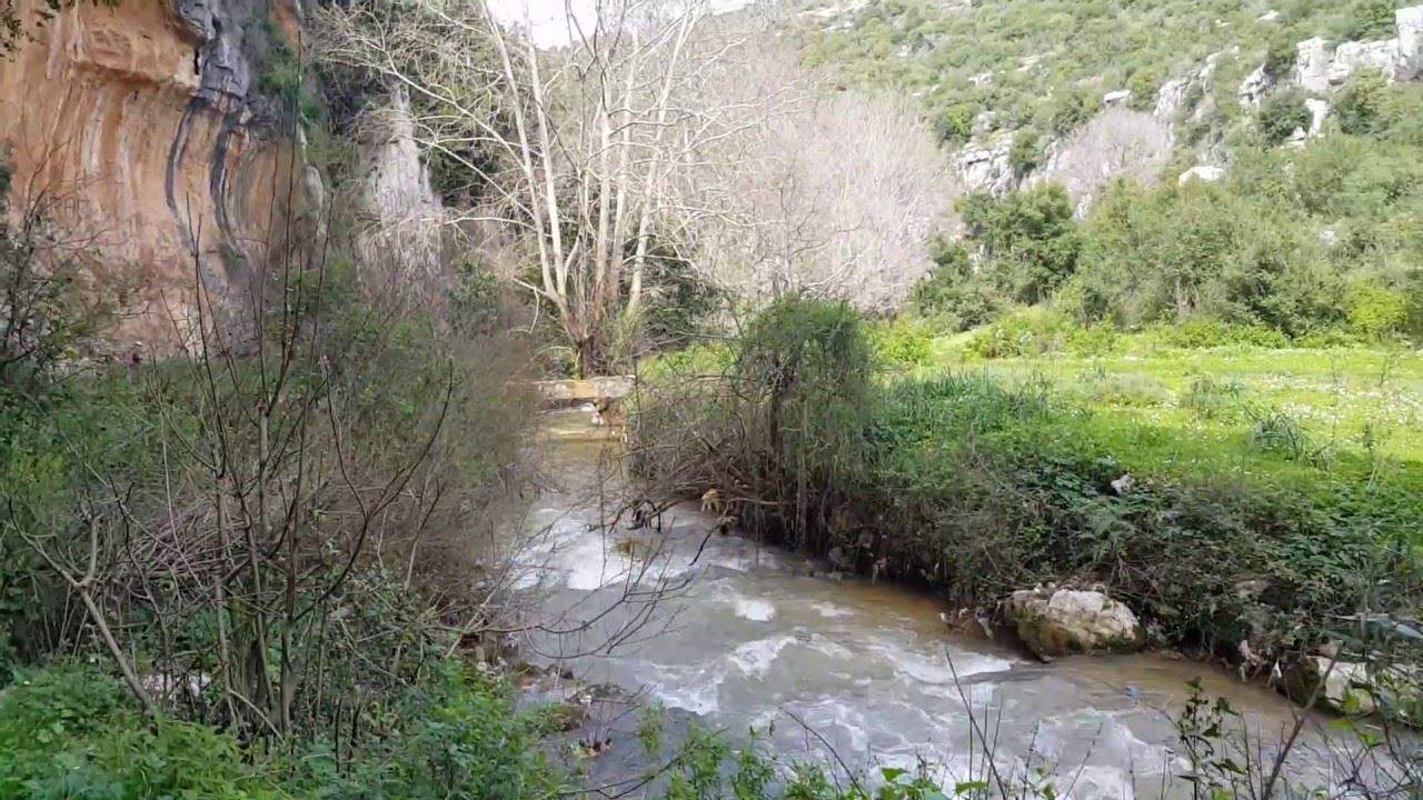 طفل رضيع يسقط في نهر الجوز