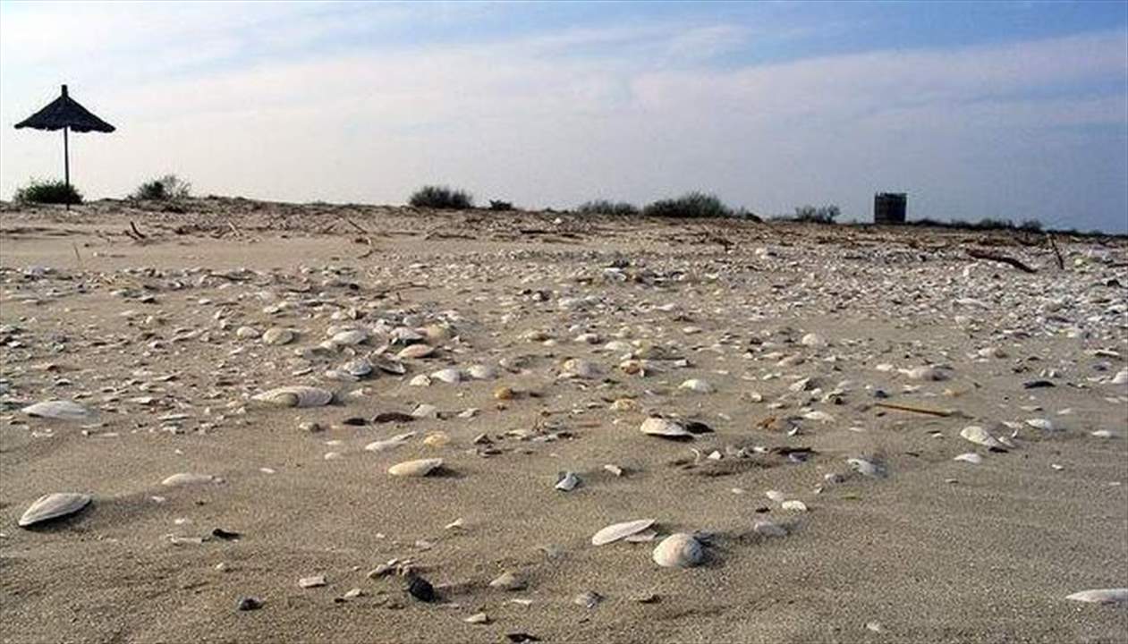 الأمواج تقذف كمية كبيرة من المخدرات على شاطئ! 