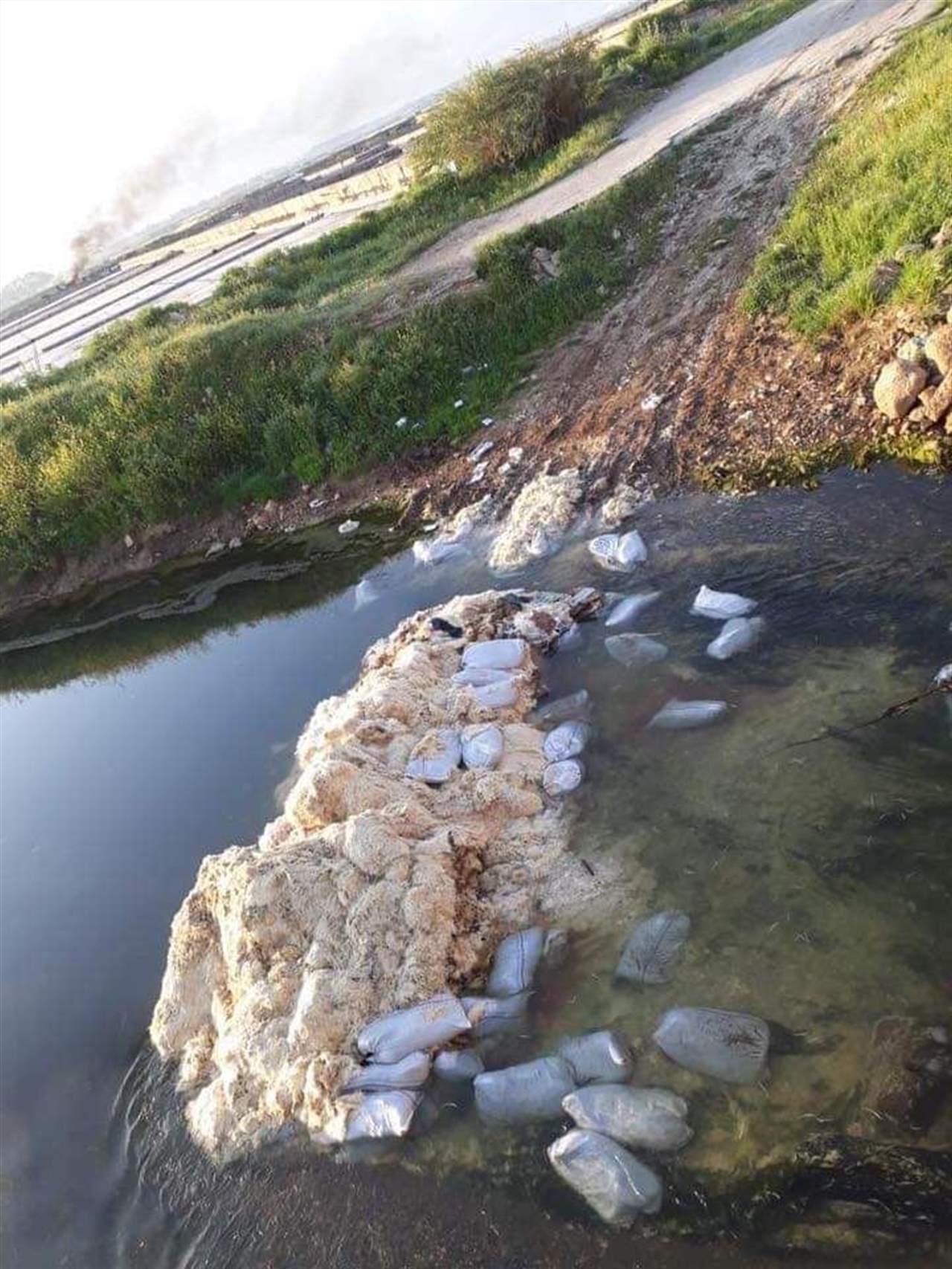 بالصورة- دجاج نافق في مجرى نهر العريضة بعكار 
