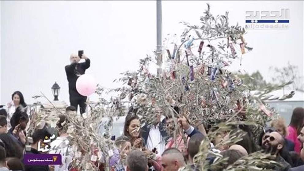 تقليد غريب في أحد الشعانين.. ماذا يفعلون بأغصان الزيتون؟