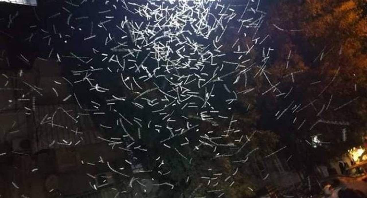 الحشرات تغزو دمشق ومسؤول سوري يوضح السبب!