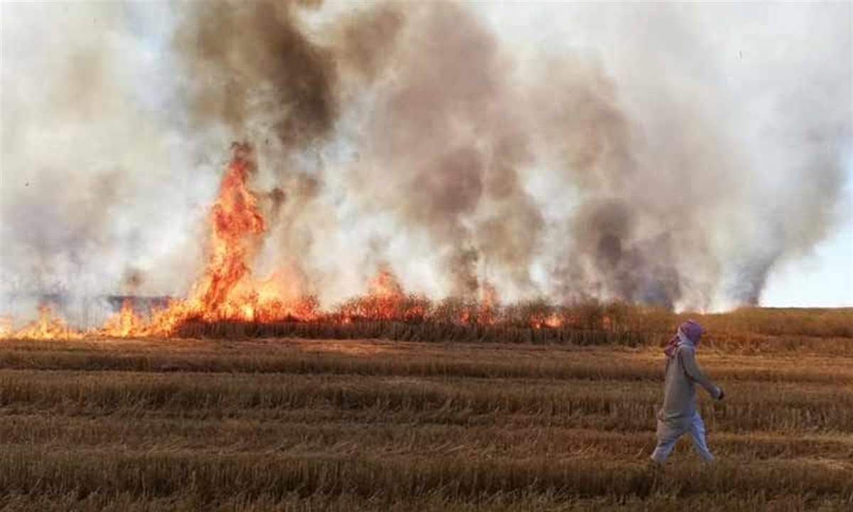تنظيم "داعش" يعلن مسؤوليته عن إحراق محصول القمح في سوريا