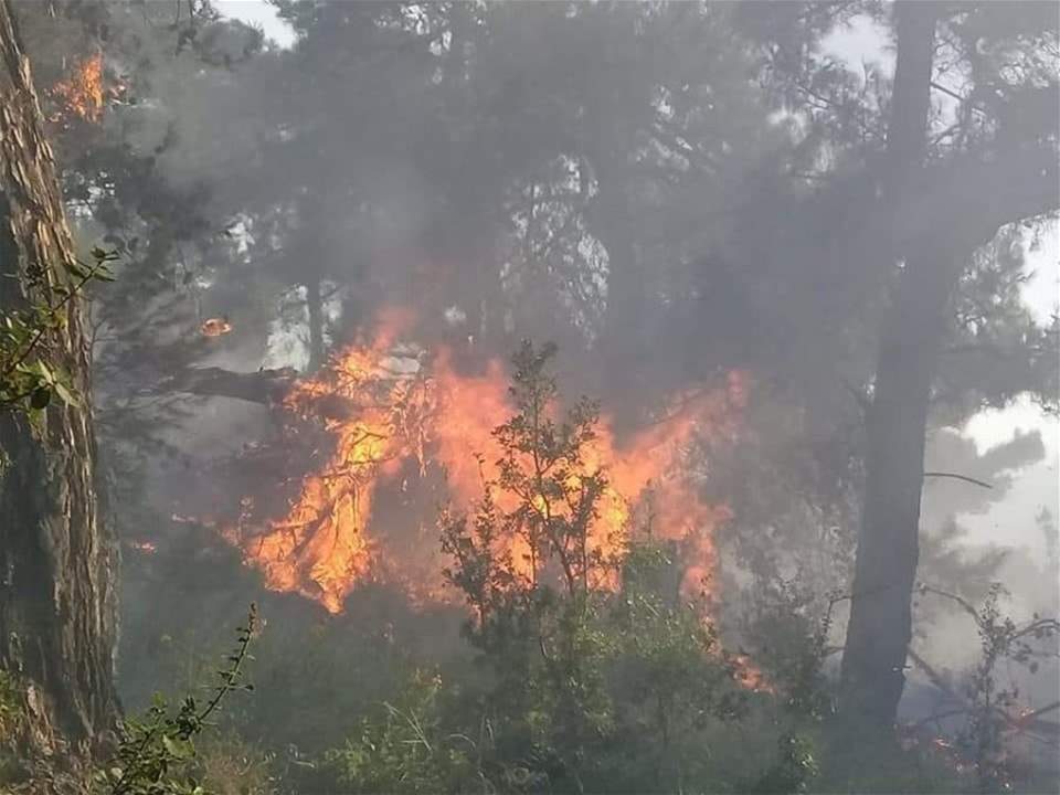 حرائق الصيف قد تأتي على نصف مساحة لبنان؟!