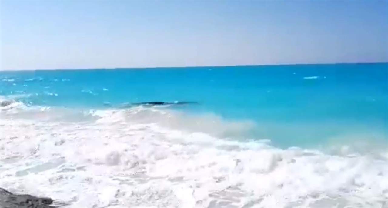 ظاهرة نادرة.. رصد حوت على شاطئ إحدى القرى السياحية بالساحل الشمالي لمصر