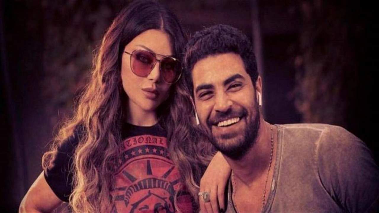 هل عاد محمد وزيري لإدارة أعمال هيفا وهبي؟