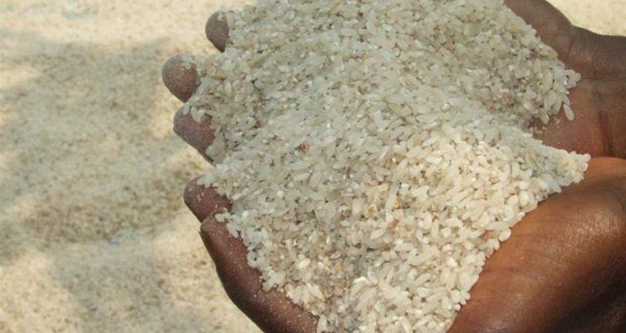 "الأرز المسرطن" اللبناني يصل إلى الكونغو.. والسلطات تقرر تلفه بعد الكشف عليه 