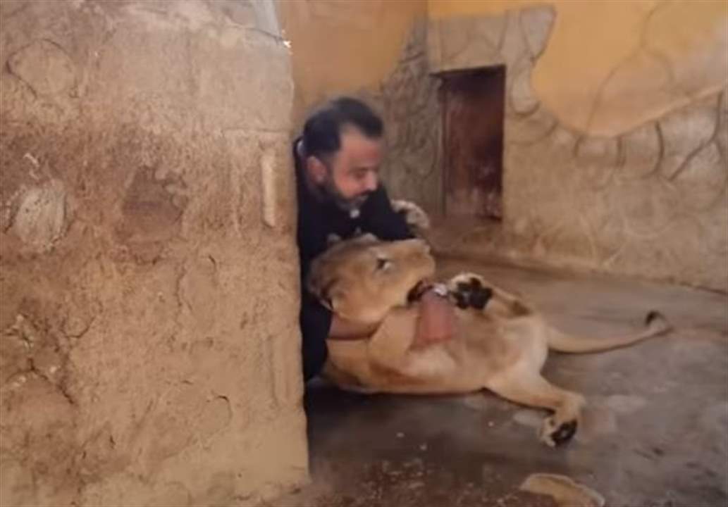 بالفيديو - شاب سوريٌ يحوّل منزله حديقة لأندر الحيوانات المفترسة في العالم