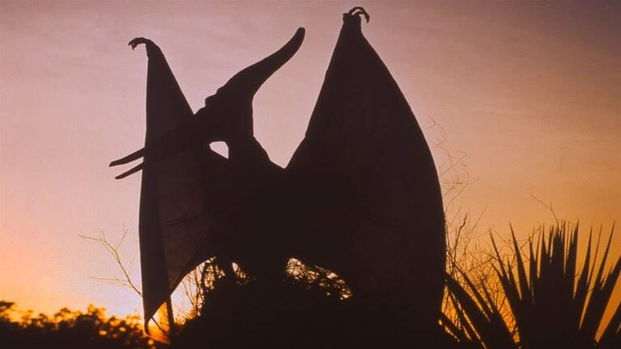 إكتشاف نوع ديناصور عاش في لبنان منذ أكثر من 95 مليون عام