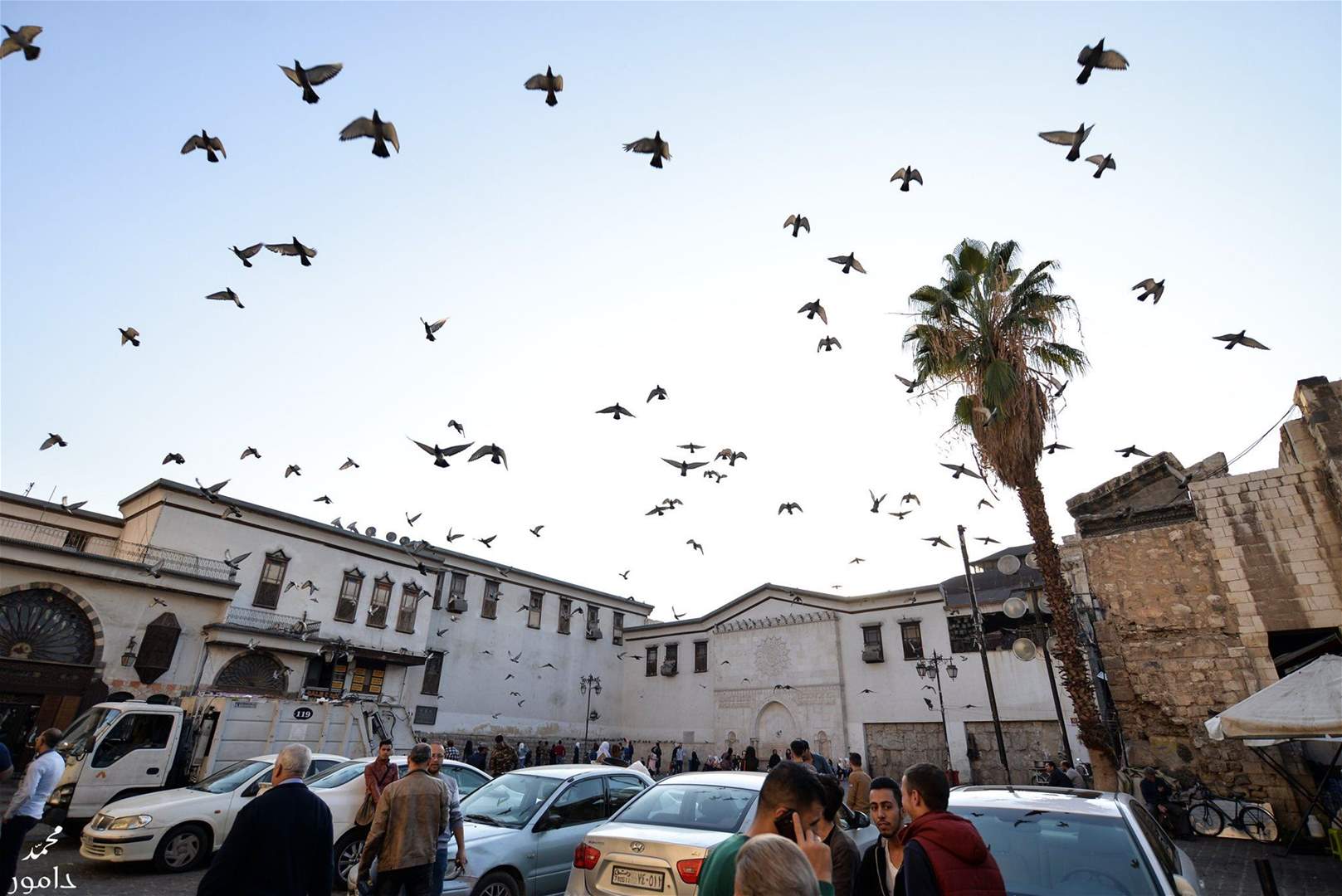 ست إصابات جديدة بالكورونا في سوريا