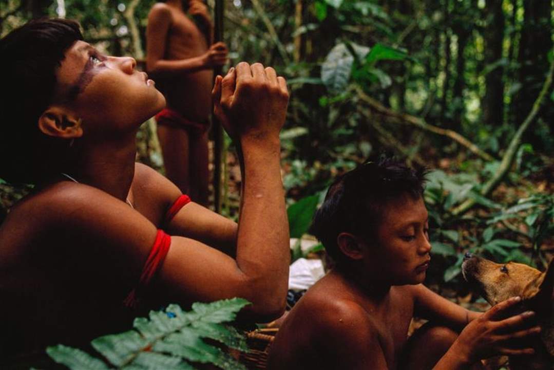 فيروس كورونا يصل إلى قبائل يانومامي في البرازيل 