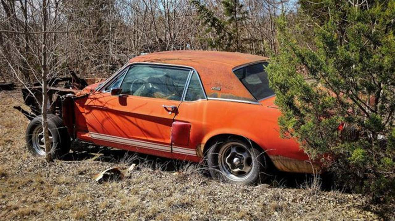(بالصور) ليتل رد: قصة سيارة نادرة تساوي 1.5 مليون دولار رماها مالكها في مزرعة للخردة