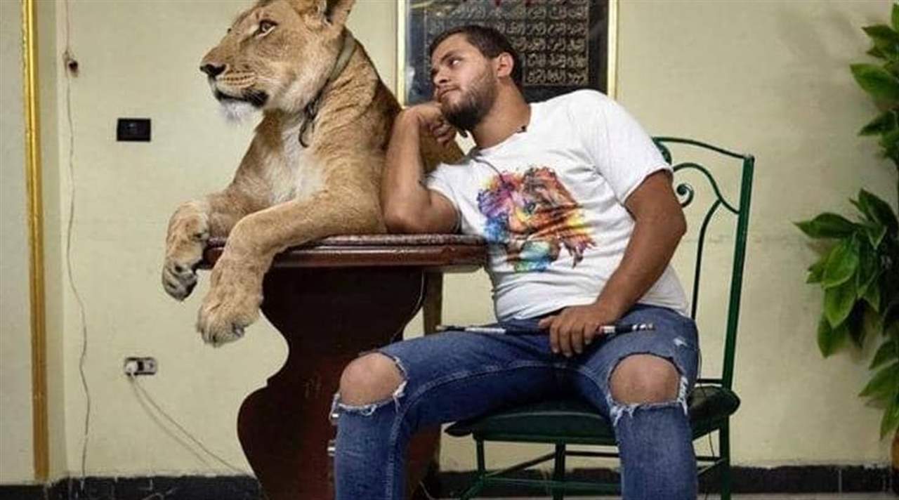 مع قيود كورونا... عائلة مصرية تنقل عروض الأسود للمنزل
