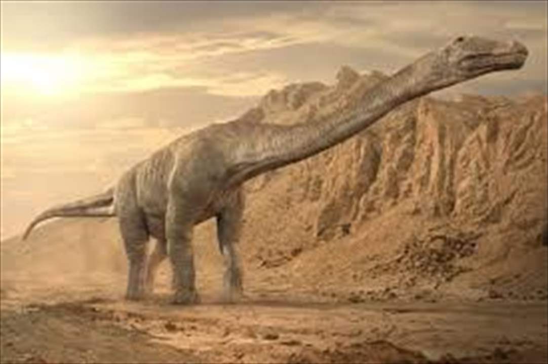 اكتشاف أحفورة ديناصور "نادر" في أستراليا