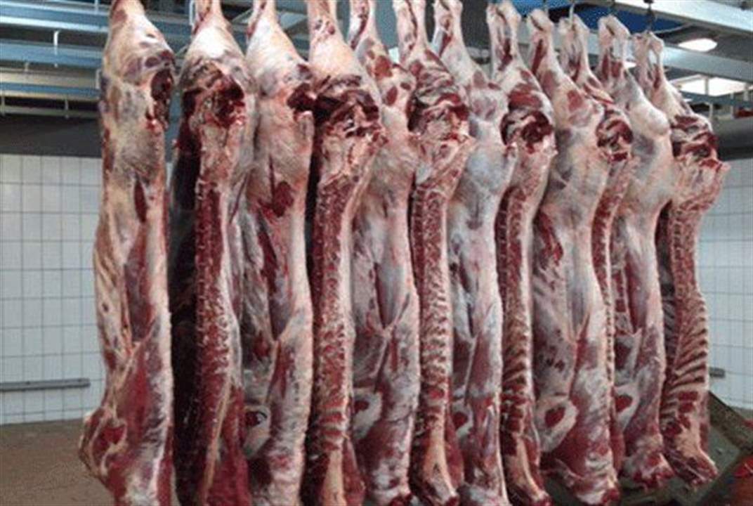 بلدية صيدا تنفي خبر إقفال مسلخ صيدا