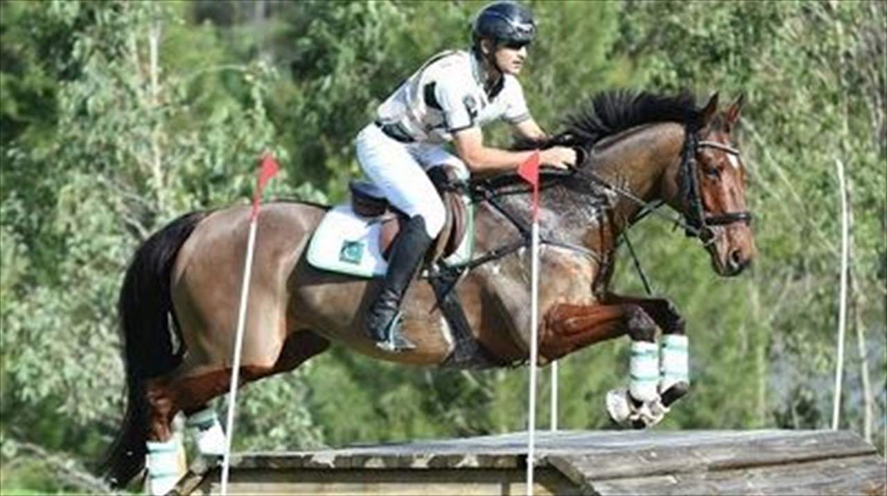 قصة الفارس الذي مات حصانه بنوبة قلبية وخسر مليوني يورو