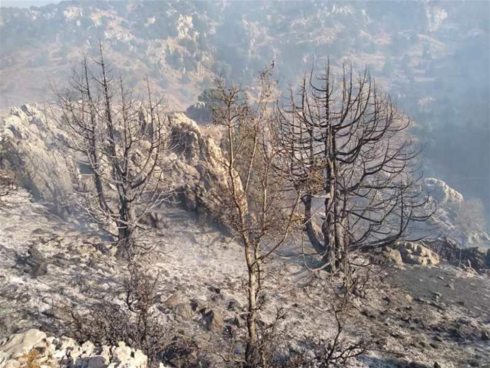 تجدد الحريق في غابة اللزاب في كفربنين ـ الضنية والاهالي يناشدون المعنيين لإخماده