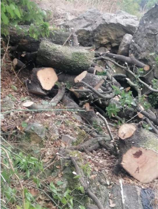  بالصور- مجزرة بيئية ترتكب في بلدة ممنع في عكار 