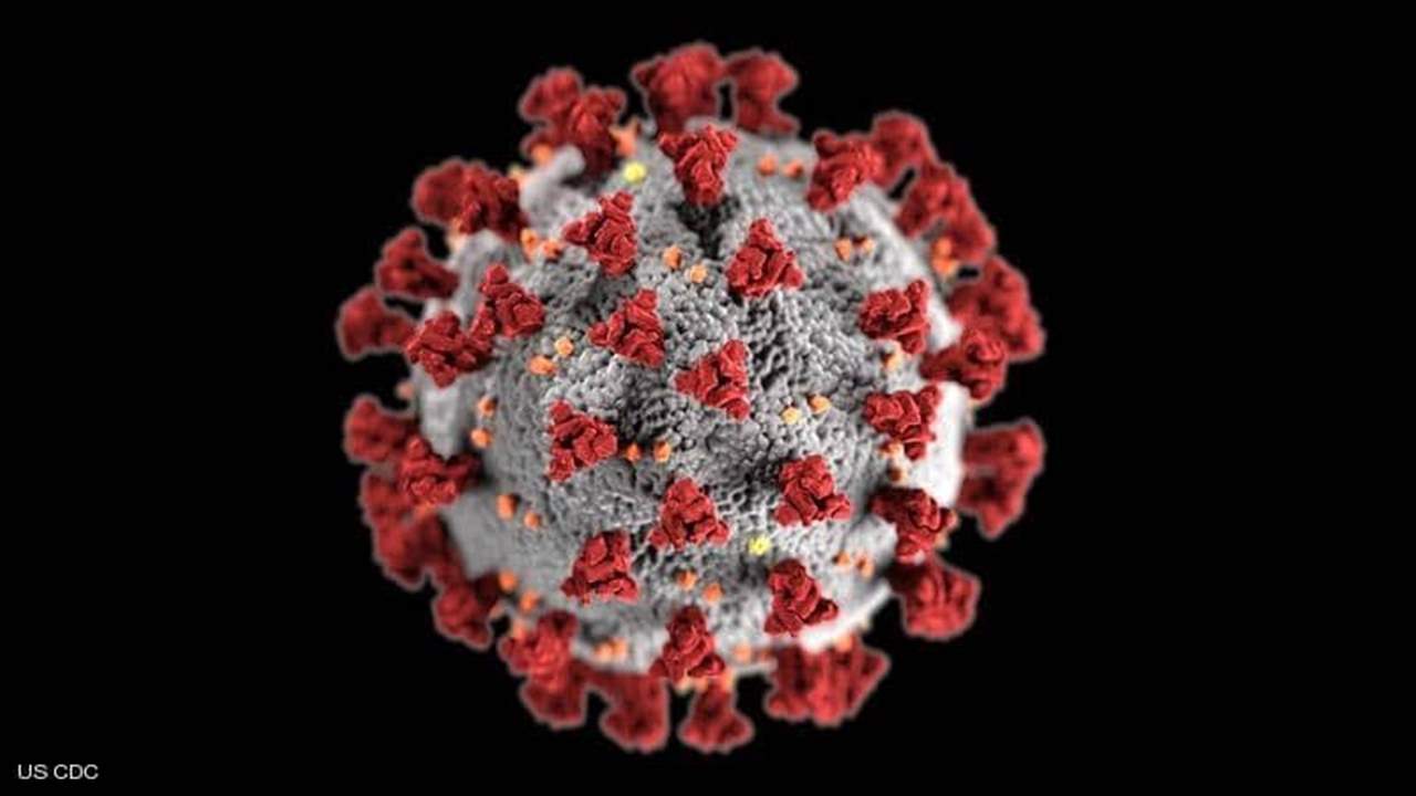 إغلاق ثانوية حاصبيا 14 يوما بسبب إصابة معلمة