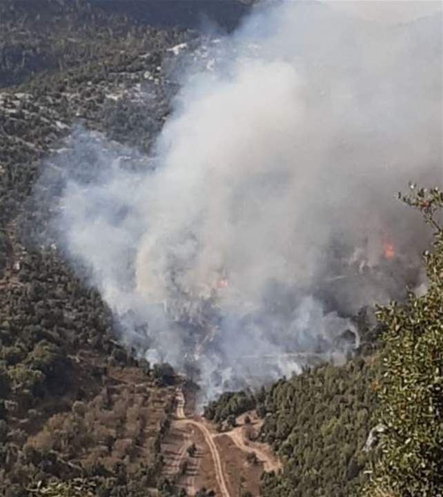 الوكالة الوطنية: تجدد حريق بنتاعل في قضاء جبيل بعد أن كانت قد تمت السيطرة عليه فجر اليوم