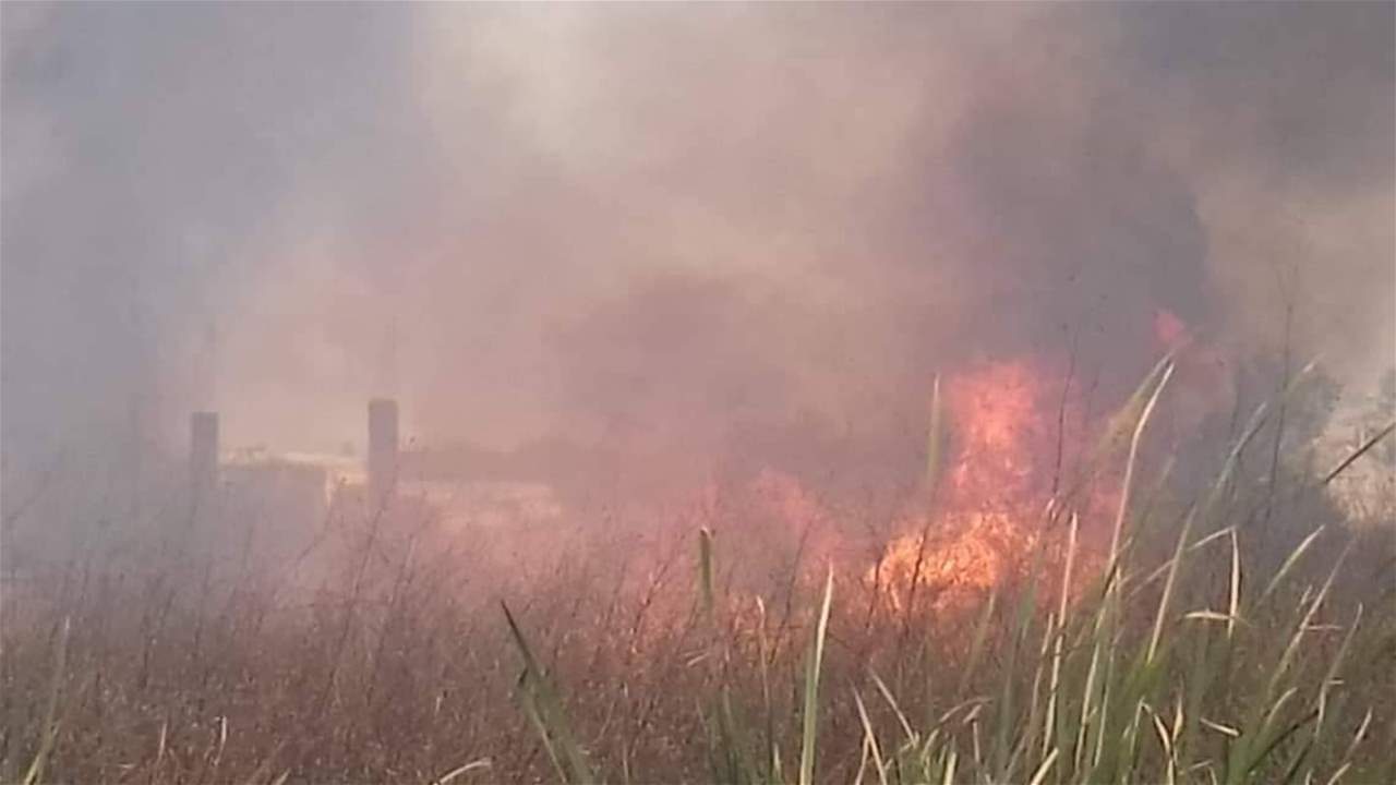 اندلاع سلسلة حرائق في صيدا والجنوب