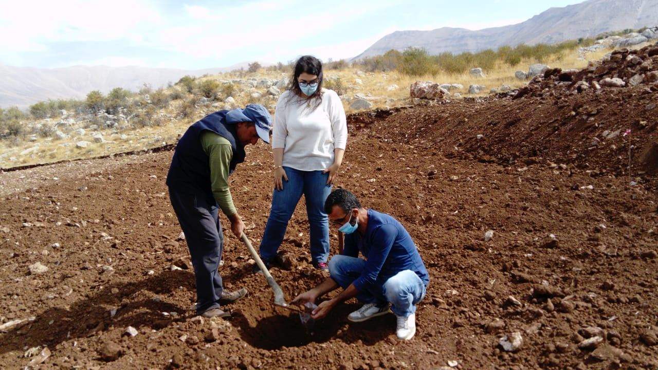 بدء المرحلة الاولى من برنامج التعاضد الزراعي في الديمان 