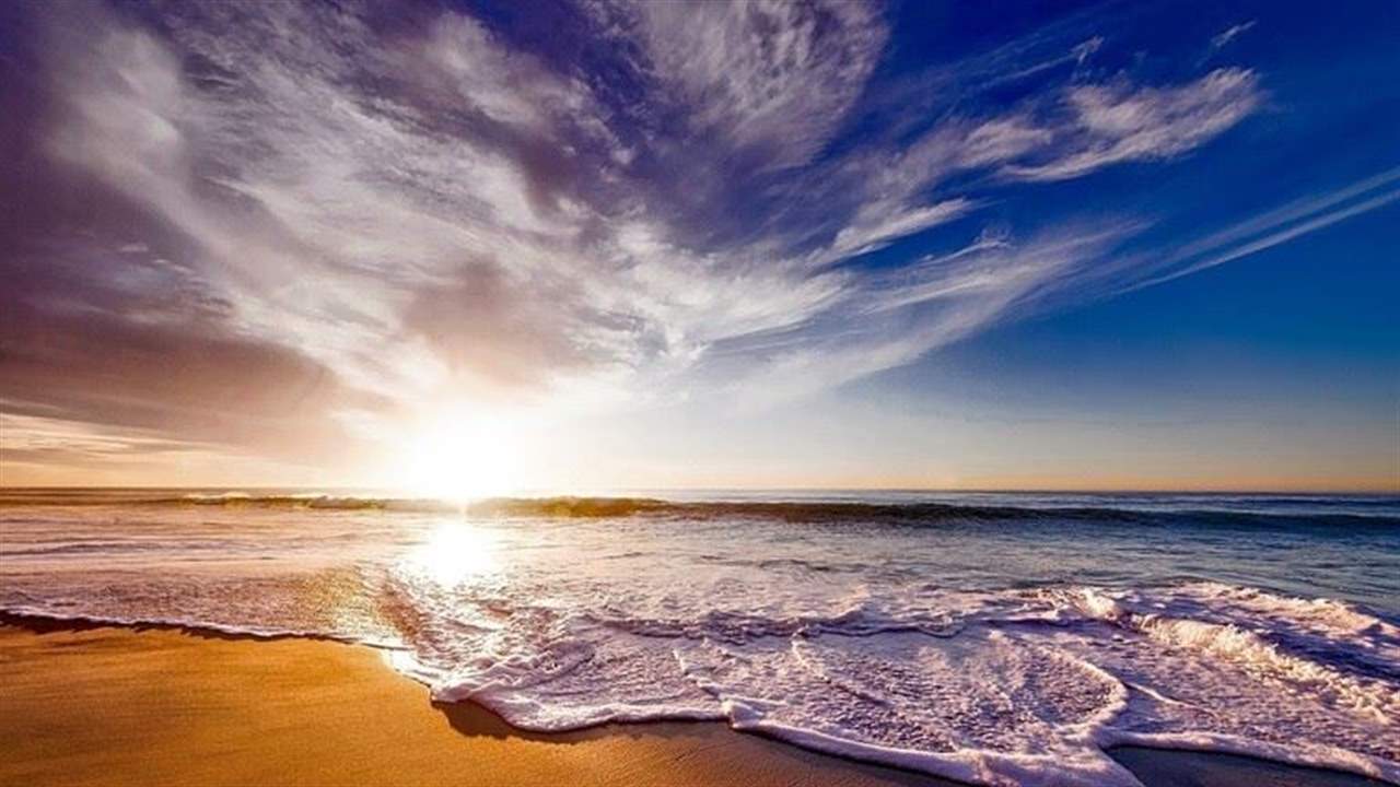 بالفيديو- رصد مخلوق بحري على الشاطئ شبيه بالتنين يُعرف باسم "أجمل قاتل في المحيط"