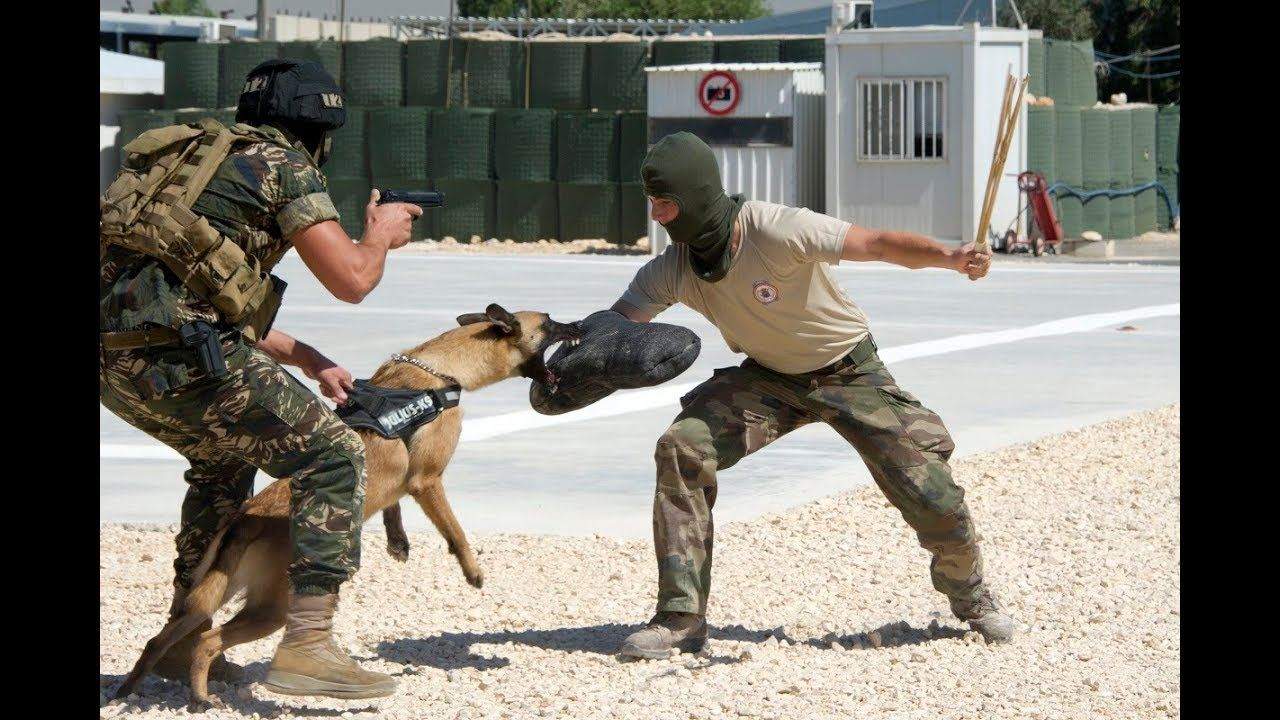 الجيش: تمارين تدريبية وتفجير ذخائر في هذه مناطق 