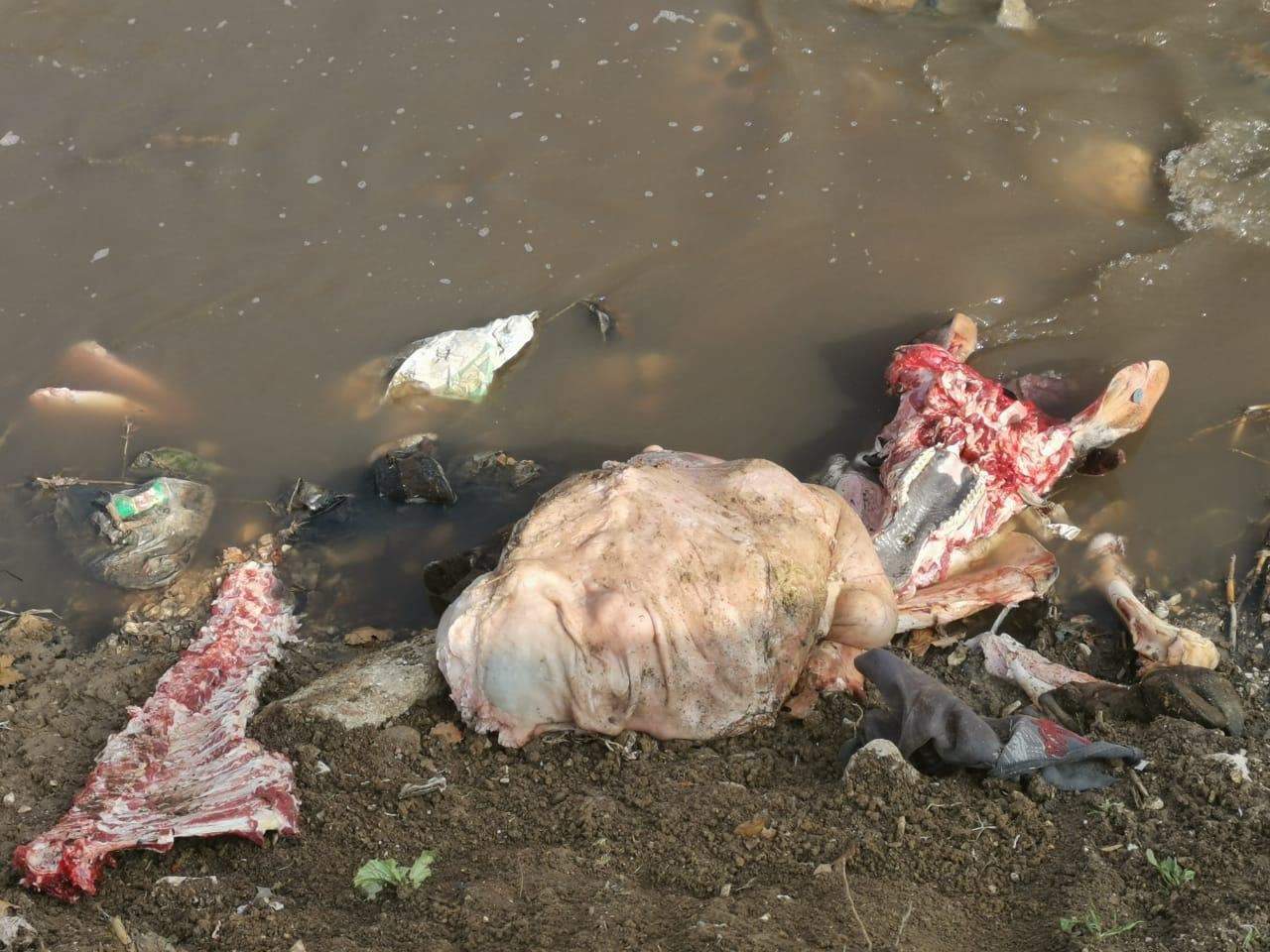 مصلحة الليطاني: بلدية بدنايل أزالت مخلفات المزارع ومسالخ المواشي في البلدة وفي تمنين التحتا