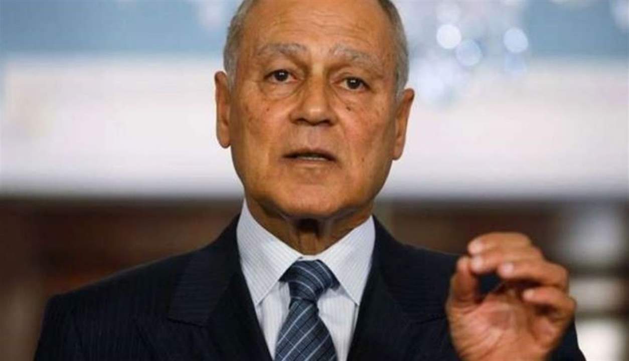 أبو الغيط: القضية الفلسطينية تحظى بإجماع عربي شامل 
