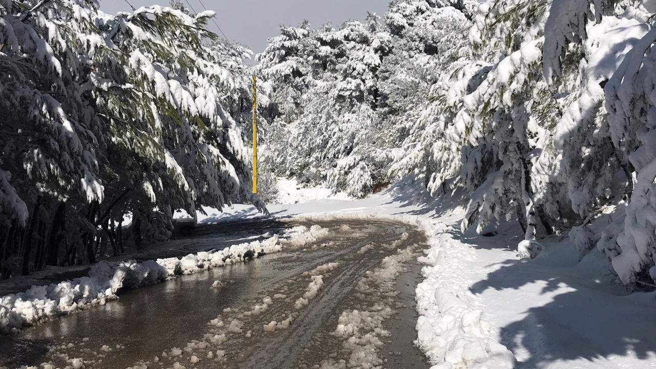 طقس عاصف وبرد قارس... والثلوج قطعت الطرق ولامست المرتفعات المتوسطة