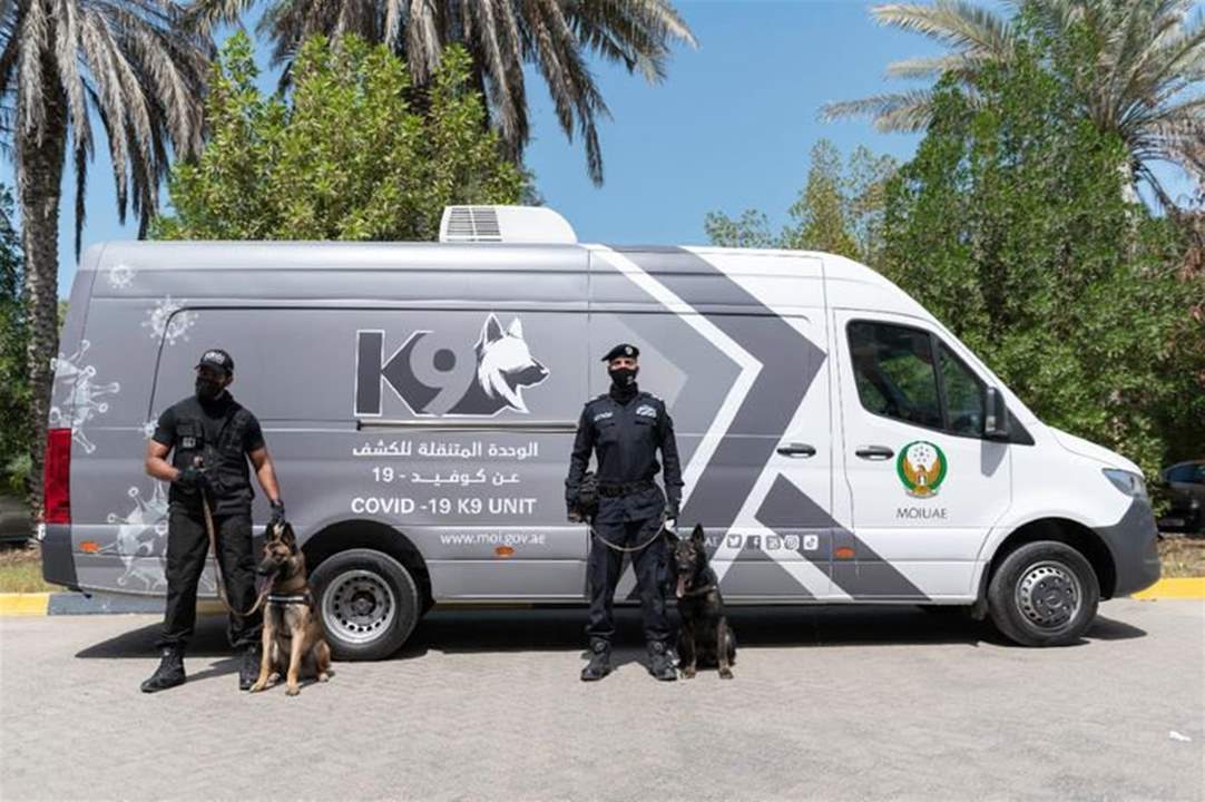 بالصور ـ الكلاب البوليسية تكشف عن كورونا.. الإمارات أول دولة في العالم