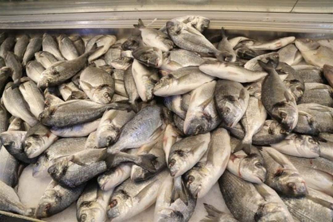 اتفاق بين وزارة الاقتصاد ونقابة بائعي الاسماك لدعم بيع سمك الاجاج والبراق