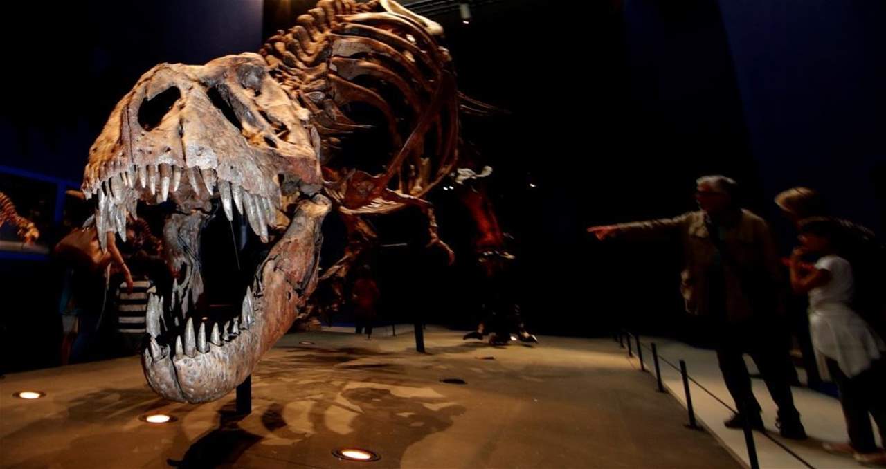 الكشف عن جمجمة ديناصور مفترس في الأرجنتين عاش قبل 85 مليون سنة