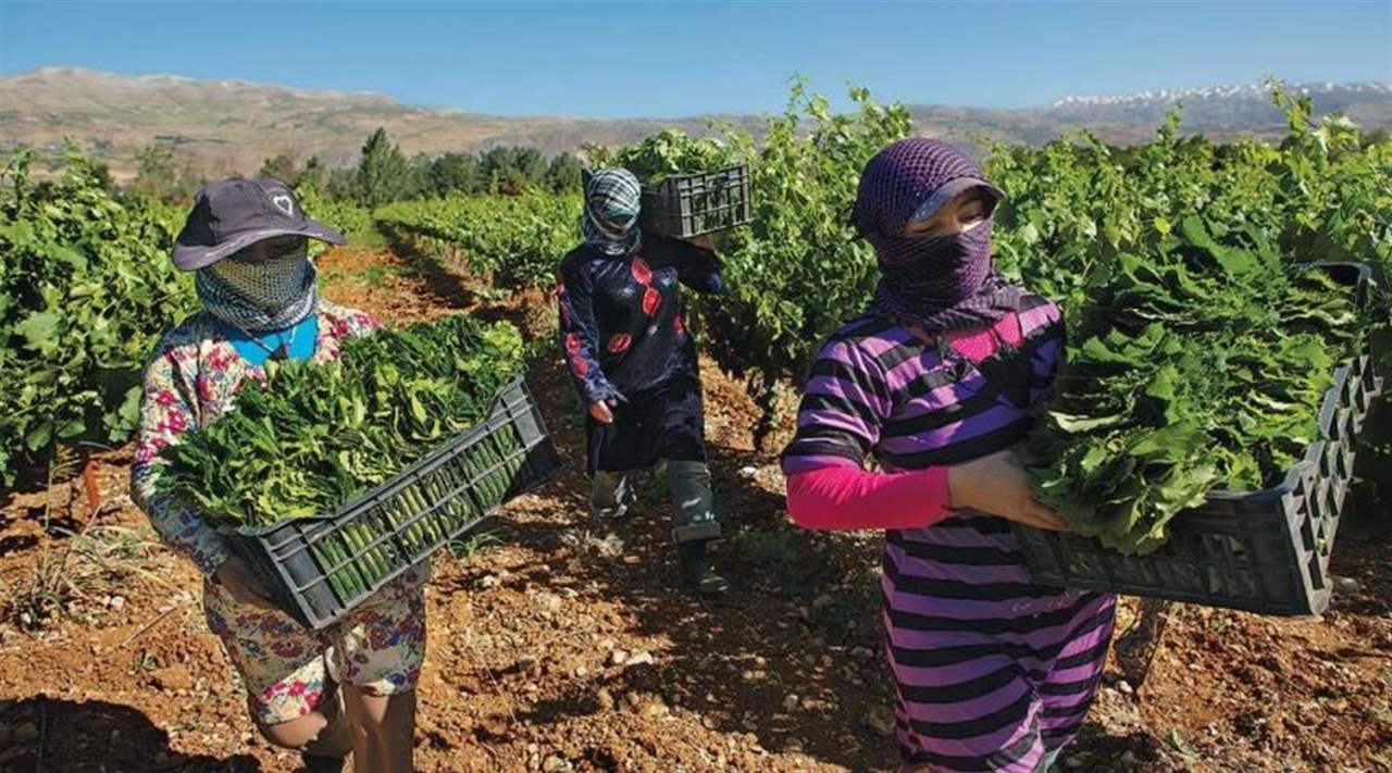 الأخبار: الاتفاقيّات التجاريّة.. فُرَص الصادرات الضائعة