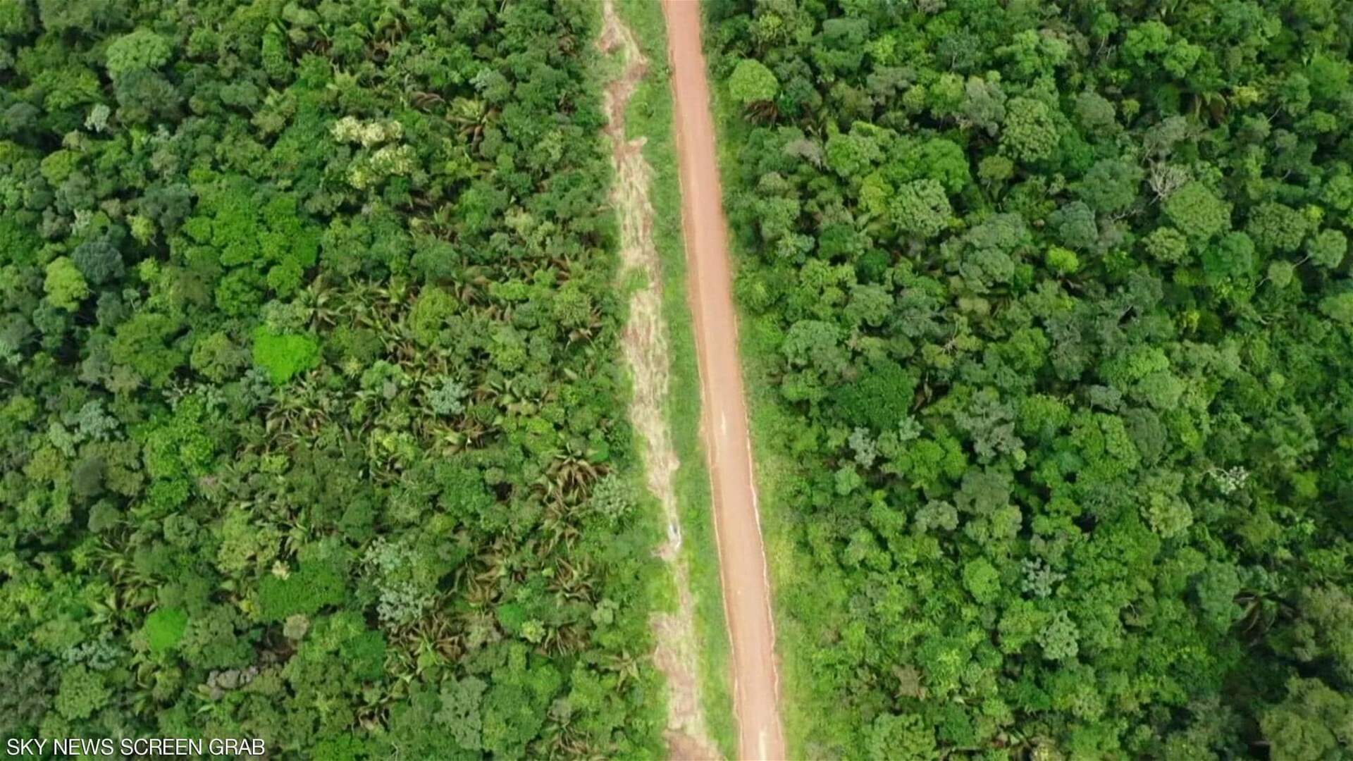 تقرير علمي: رئة الأرض "تحتضر"