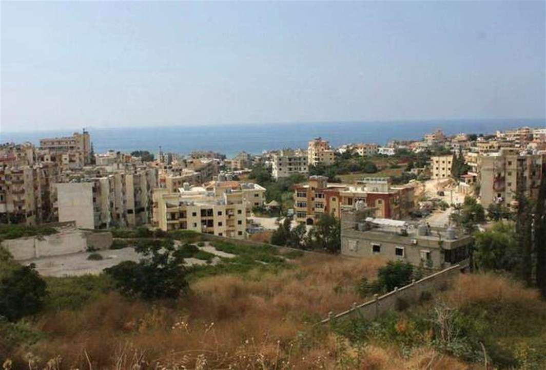 مسيرة تضامنية مع فلسطين وشعبها في حارة الناعمة