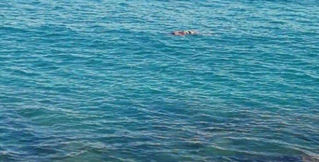  صدمة في إسبانيا بعد العثور على جثة طفلة في البحر خطفها والدها